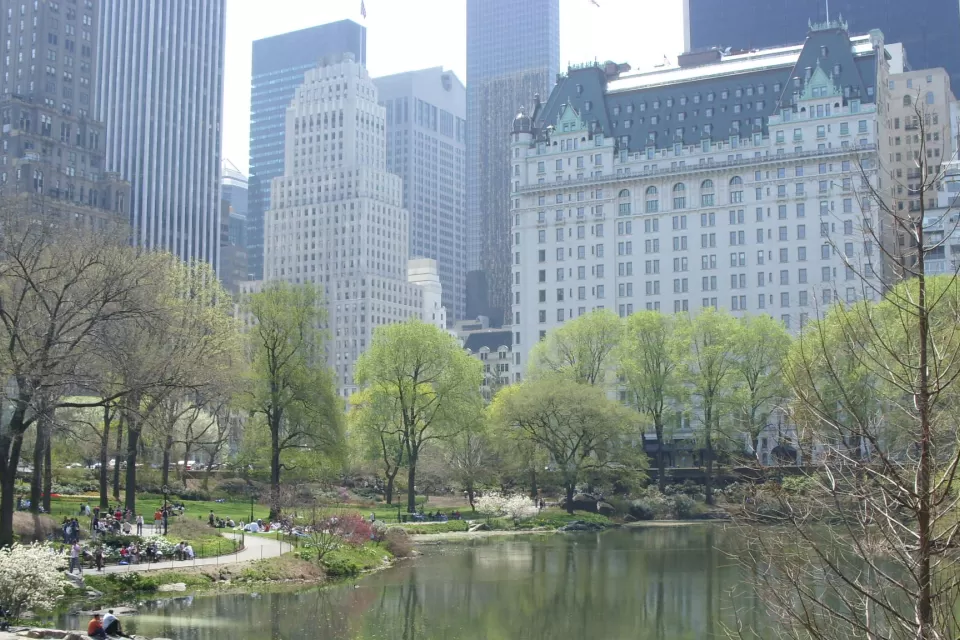 Central Park - Manhattan, New York